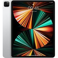 Apple iPad Pro 12,9 128GB [wifi, model 2021] zilver