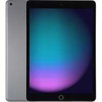 Apple iPad 10,2 256GB [wifi, model 2021] spacegrijs