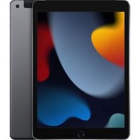 Apple iPad 10,2 64GB [wifi + cellular, model 2021] spacegrijs