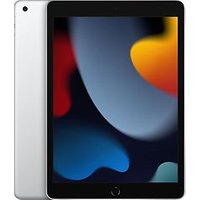 Apple iPad 10,2 64GB [wifi, model 2021] zilver