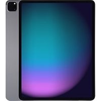 Apple iPad Pro 12,9 512GB [wifi + cellular, model 2021] spacegrijs